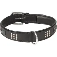 Flamingo Sedona Hundehalsband