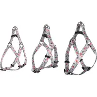 Flamingo Geschirr Step & Go Samar mit hellgrün, Maße: 45-60 cm / 20 mm