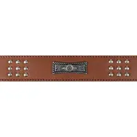 Flamingo Sedona Hundehalsband