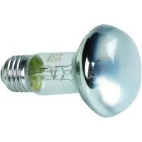 Zoo med Spot Strahler Repti Basking, 100 W