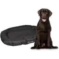 Flamingo Hundekissen Dreambay Schwarz Rund