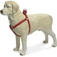 Beeztees - Hundegeschirr - Mac Kunstleder - rot - 35-60 cm