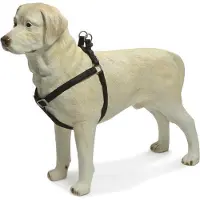Beeztees Hundegeschirr Mac Kunstleder schwarz 60 - 100 cm