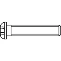 Toolcraft Linsenschrauben