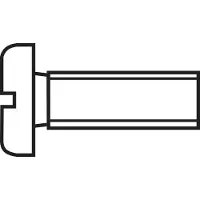 Toolcraft 839654 Cylinderskruer M2 30 mm Kærv DIN 84 Stål verzinkt 100 stk