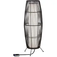 Paulmann Plug & Shine LED Lichtobjekt Basket Einzelleuchte