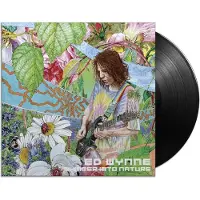 Kscope Shimmer Into Nature