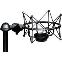 Neumann EA 1 mt