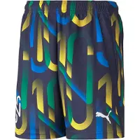 Puma Hosen Neymar JR Future, 60554106, Größe: 140