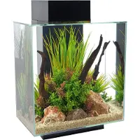 Fluval Edge Led 2.0 46l Aquarium-set