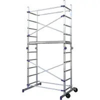 Facal Alu Gelenkgerüst S100 PINNA (T971)