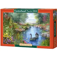 Castorland Black Swans Andres Orpinas Puzzle 1500 T C-151042-2