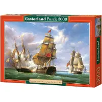 Castorland Copy of"Combat"21st April 1806 PJ Gi Puz C-300037-2