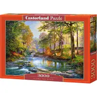 Castorland Puzzle 3000 elementów Wzdłuż rzeki