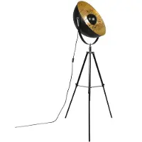 QAZQA Industriestehlampe Stativ schwarz - Magna 50 Eglip