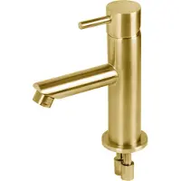 Differnz Wastafelkraan Recht †“ Mengkraan †“ Koud en Warm †“ Toiletkraan †“ Goud (30.414.74)