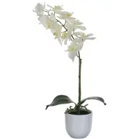 Mica Kunstpflanze Phalaenopsis im Topf weiß, 60 x 16 cm GLO660754739