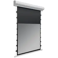 Celexon DELUXX V2.0 Cinema Hochkontrastleinwand Tension 220 x 124 cm, 100" - DAYVISION ALR
