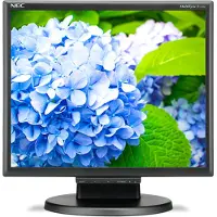NEC E172M, 43,2 cm (17"), 1280 x 1024 Pixel, HD, LED, 5 ms, Schwarz