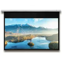 Celexon DELUXX Advanced Elegance Motorleinwand -16:9 - 294x165 cm - 133''