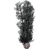 BiOrb Hornkoralle mittelgross schwarz