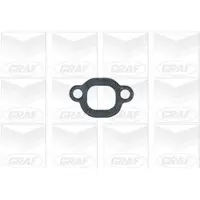 Graf Wasserpumpe PA305