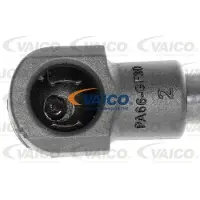 VAICO Gasfeder, Motorhaube Original Qualität V20-0985
