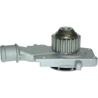 Saleri SIL Wasserpumpe PA488P