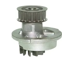 Saleri SIL Wasserpumpe PA957