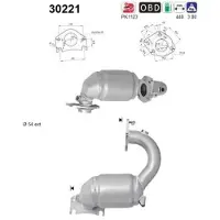 As Katalysator 30221