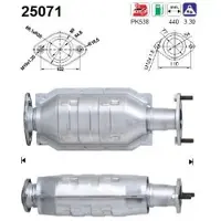 As Katalysator 25071