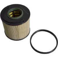 Blue Print Kraftstofffilter ADV182328