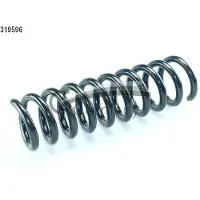 CS Germany Fahrwerksfeder 14.319.596