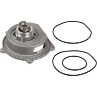 Blue Print Wasserpumpe [Hersteller-Nr. ADJ139111] für Honda, Mg, Land Rover, Rover