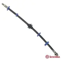 Brembo Bremsschlauch ESSENTIAL LINE T 23 012