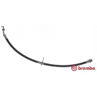Brembo Bremsschlauch ESSENTIAL LINE T 79 036