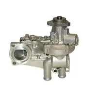 Saleri SIL Wasserpumpe PA519