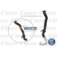 VAICO Ladeluftschlauch Q+, Erstausrüsterqualität V21-0027