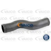 VAICO V10-3776 Turbo Ladeluftschlauch für VW LT 28-46 II Kastenwagen (2DA, 2DD, 2DH) LT 28-35 II Bus (2DB, 2DE, 2DK)