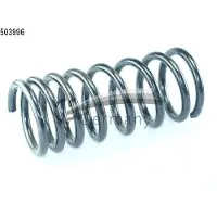 CS Germany Fahrwerksfeder 14.503.996