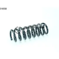 CS Germany Fahrwerksfeder 14319558 Hinterachse für MERCEDES-BENZ CHRYSLER