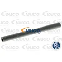 VAICO V10-4369 Turbo Ladeluftschlauch für VW PASSAT Variant (3B6) PASSAT Variant (3B5) PASSAT (3B3) PASSAT (3B2) für AUDI A4 Avant (8ED, B7) A4 Avant