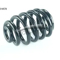 CS Germany Fahrwerksfeder 14.319.578