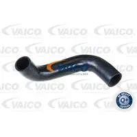 VAICO Ladeluftschlauch Q+, Erstausrüsterqualität