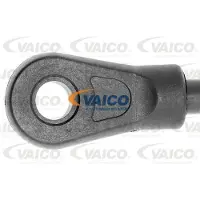 VAICO Gasfeder, Motorhaube [Hersteller-Nr. V10-2071] für Audi