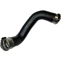 BUGIAD 81788 Turbo Ladeluftschlauch für NISSAN Qashqai II (J11, J11)