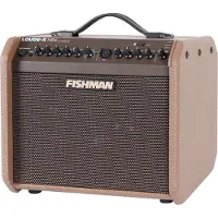Fishman Loudbox Mini Combo
