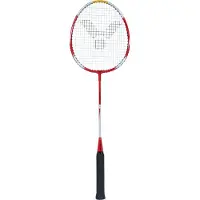 Victorio & Lucchino Badmintonschläger Pro