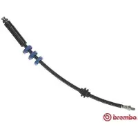 Brembo Bremsschlauch ESSENTIAL LINE T 23 018