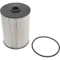Blue Print Kraftstofffilter ADV182307
